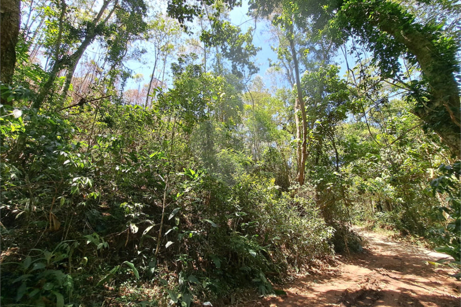 Terreno à venda em Serra da Cantareira, Mairiporã, SP