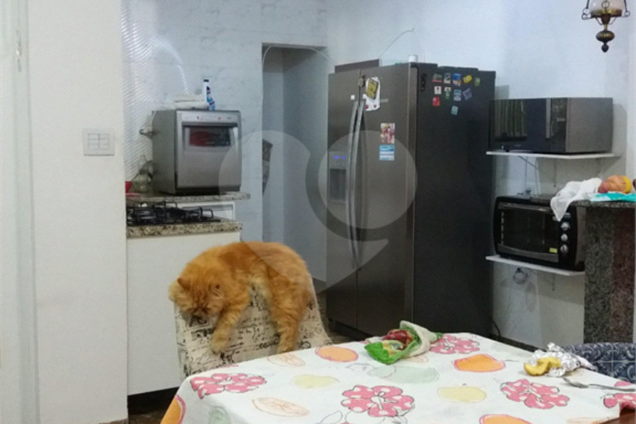 Sobrado à venda com 3 quartos, sendo 2 suítes, em Pirituba, São Paulo, SP