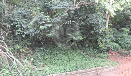 Terreno à venda em Roseira, Mairiporã, SP
