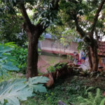 Terreno a Venda em Pirituba