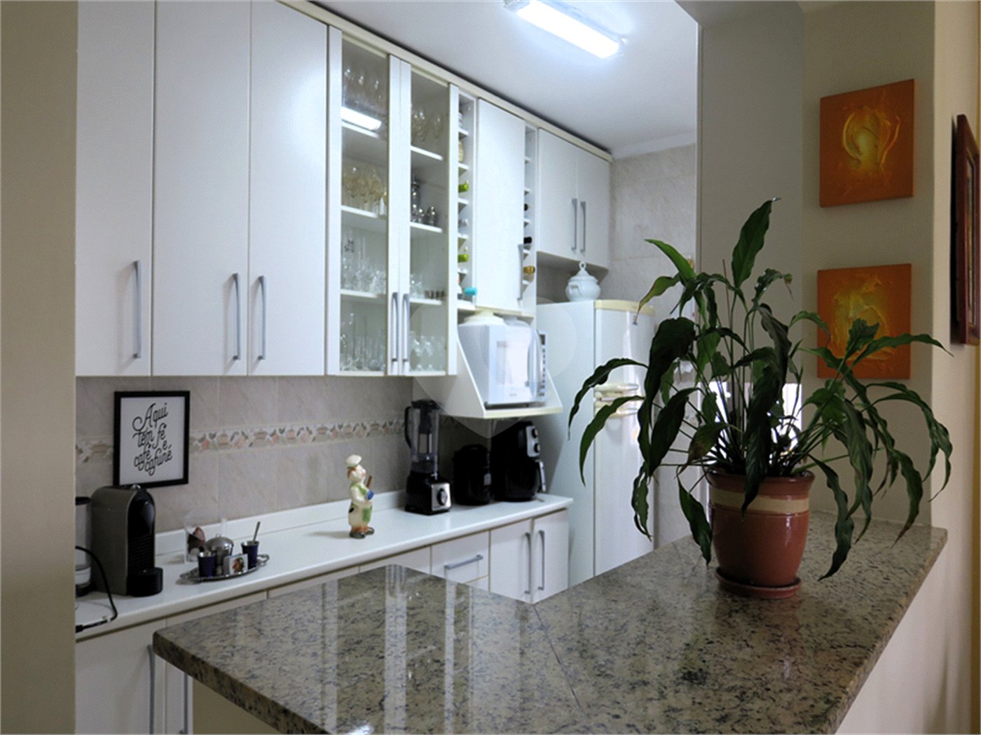 Apartamento à venda com 2 quartos, sendo 1 suíte, em Vila Suzana, São Paulo, SP