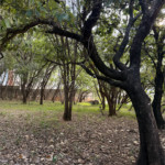 Área de Terra à venda em Jardim Portal da Colina, Sorocaba, SP