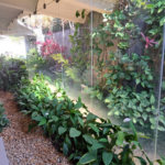 Casa à venda com 4 suítes em Vila Oliveira, Mogi das Cruzes, SP