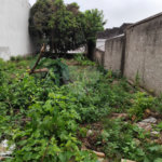 Terreno à venda com 1 suíte em Vila Constança, São Paulo, SP