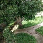 Casa à venda com 4 quartos em Capoavinha, Mairiporã, SP