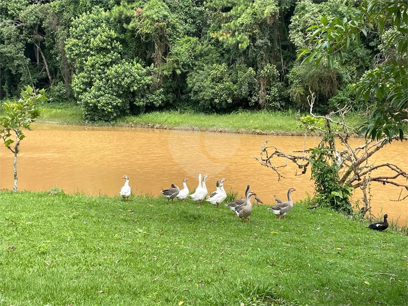 Terreno à venda no condomínio Reserva Bom Viver, Campo Limpo Paulista - SP