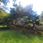 Apartamento à venda com 3 quartos em Santana, São Paulo, SP