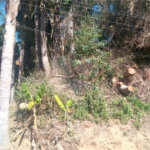 Terreno à venda em Serra da Cantareira, Mairiporã, SP
