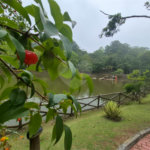 Terreno à venda no condomínio Parque Imperial da Cantareira, Mairiporã - SP