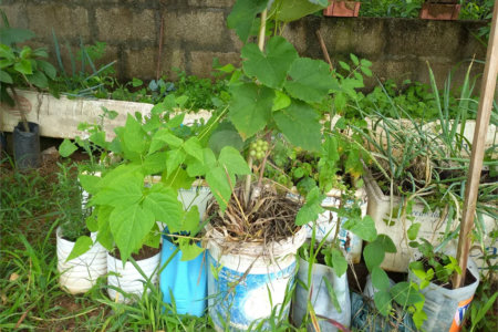 Terreno à venda em Parque dos Cafezais III, Itupeva, SP