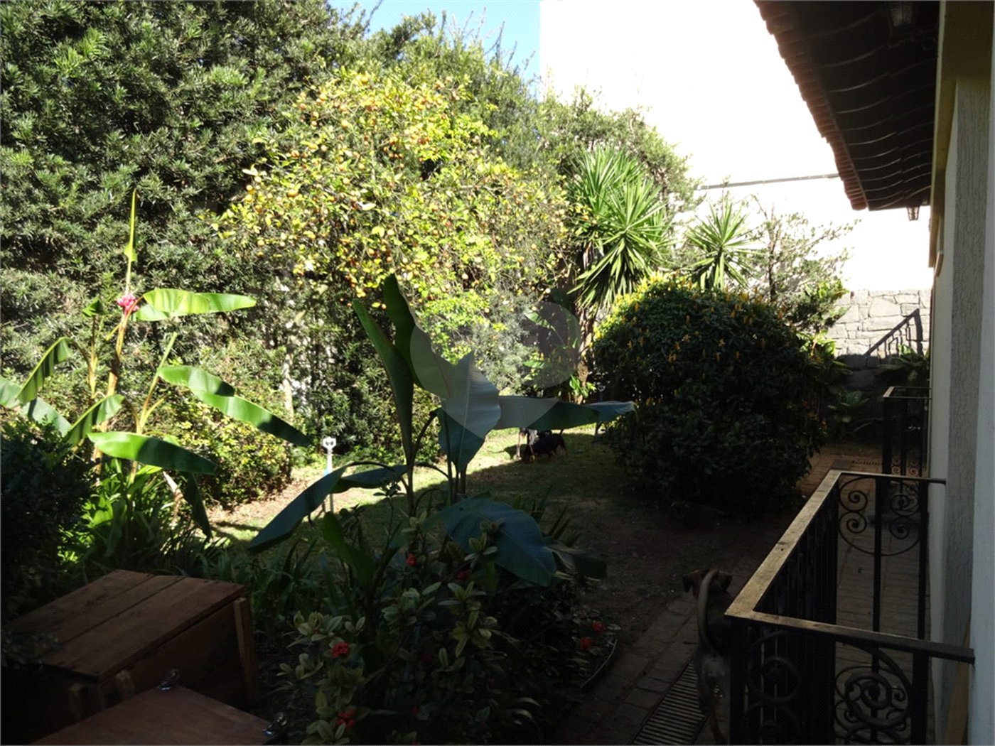 Casa à venda com 5 quartos, sendo 2 suítes,  em Vila Oliveira, Mogi das Cruzes, SP