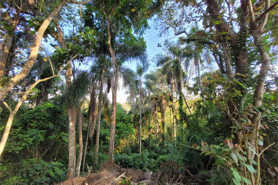 Terreno à venda no condomínio Sausalito, Mairiporã - SP