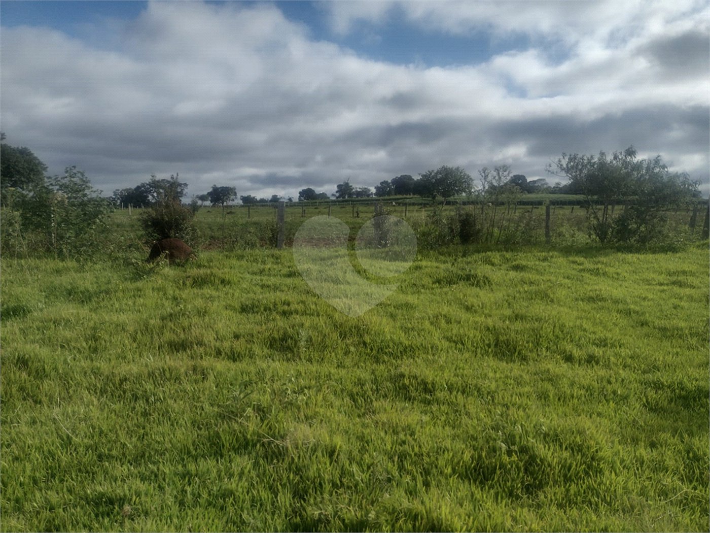 Terreno à venda em Área Rural de Guareí, Guareí, SP