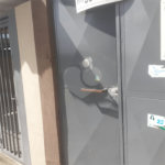 Salão para alugar em Limão, São Paulo, SP