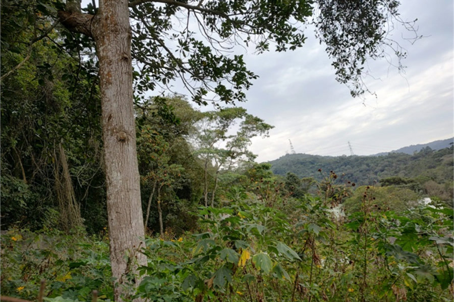 Terreno à venda em Barro Branco (zona Norte), São Paulo, SP