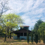 Sítio à venda com 3 quartos em Área Rural de Três Lagoas, Três Lagoas, MS