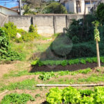 Terreno à venda em Tucuruvi, São Paulo, SP