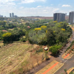 Apartamento à venda com 4 suítes em Jardim Ilhas do Sul, Ribeirão Preto, SP