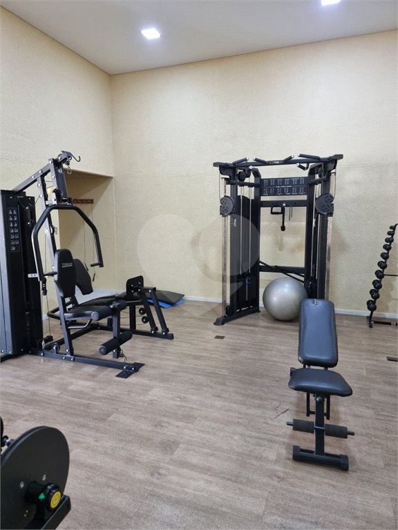 Apartamento para venda em Santana Zona Norte.