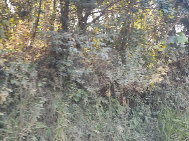 Terreno à venda em Luiz Fagundes, Mairiporã, SP