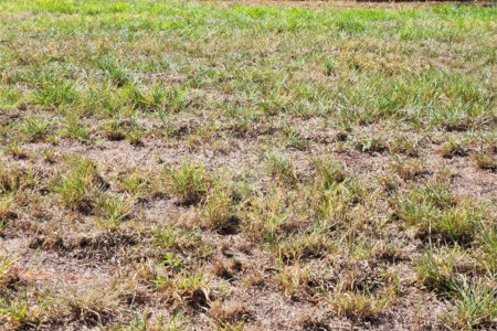 Terreno à venda no condomínio Bella Vittà Araraquara, Araraquara - SP