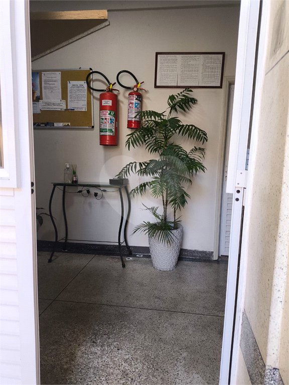 Apartamento para alugar com 1 quarto em Tucuruvi, São Paulo, SP