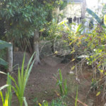 Sobrado à venda com 3 quartos, sendo 1 suíte, em Horto, São Paulo, SP