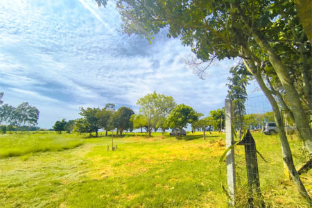 Sítio à venda com 3 quartos em Campo de Boituva, Boituva, SP