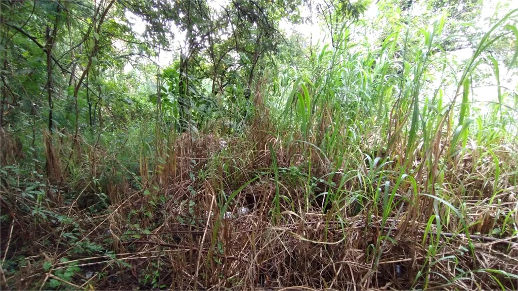 Terreno à venda em Vila Suzana, São Paulo, SP