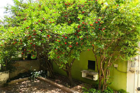 Casa à venda com 5 quartos, sendo 3 suítes, em Brooklin Paulista, São Paulo, SP