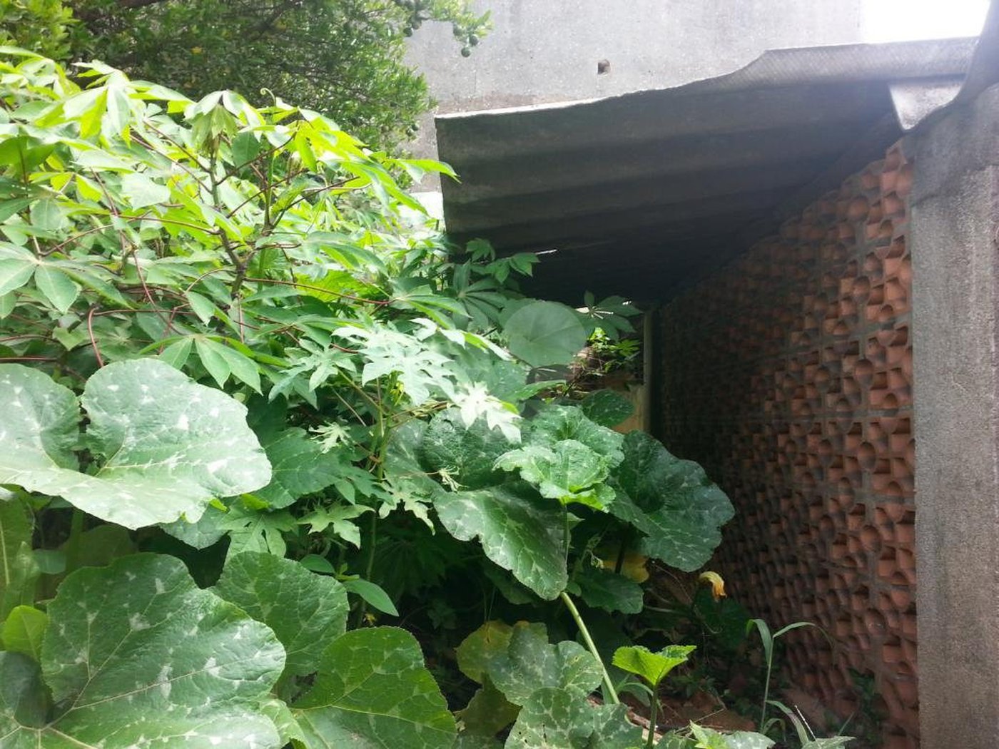 Terreno à venda em Imirim, São Paulo, SP