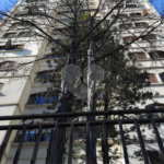 Apartamento à venda com 3 quartos, sendo 1 suíte, em Vila Progredior, São Paulo, SP