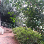 Terreno à venda com 3 quartos em Vila Guilherme, São Paulo, SP