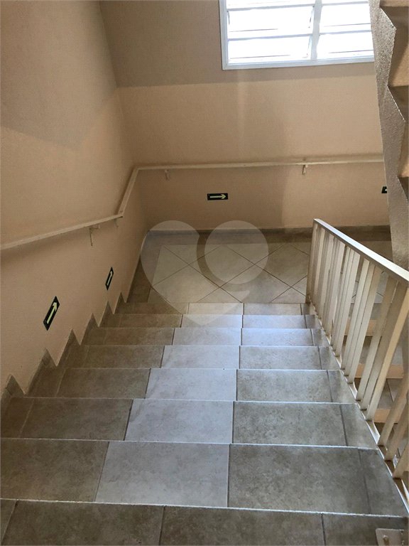 Apartamento para alugar com 3 quartos, sendo 1 suíte, em Pinheirinho, Vinhedo, SP