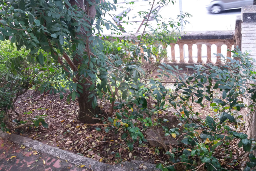 Terreno à venda com 3 quartos em Vila Guilherme, São Paulo, SP