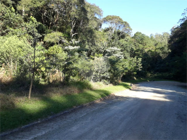 Terreno à venda em Serra da Cantareira, Mairiporã, SP