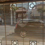 Sobrado à venda com 2 quartos em Vila Medeiros, São Paulo, SP