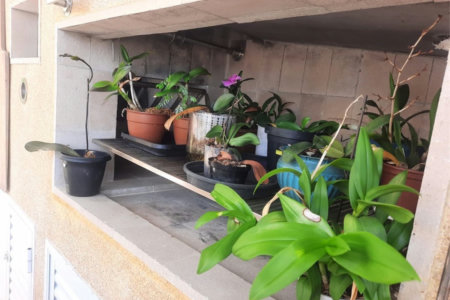 Cobertura com 3 dormitórios à venda, 200 m² por R$ 1.590.000,00 - Barra Funda - Guarujá/SP