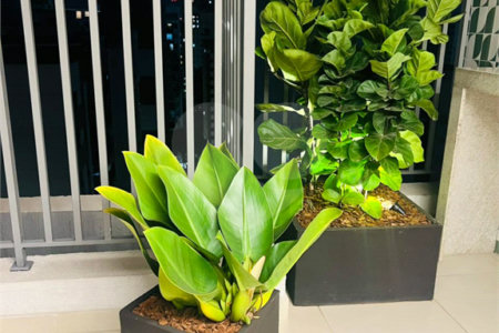 Apartamento à venda em Perdizes, São Paulo, SP