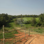 Área de Terra à venda em Porteira Preta, Mogi das Cruzes, SP