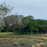 Terreno em condomínio à venda em José Gonçalves, Armação dos Búzios, RJ