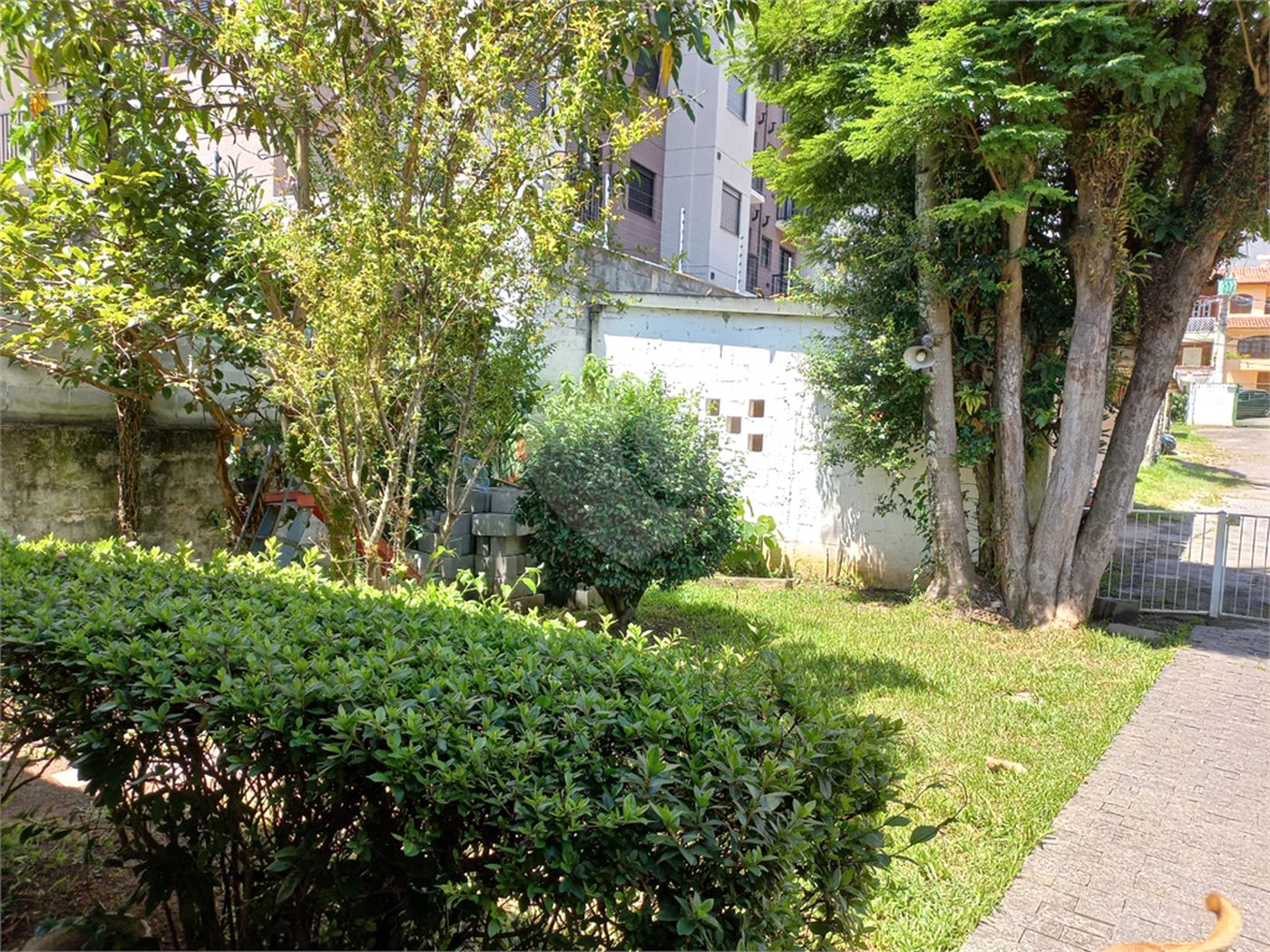 Casa Térrea à venda com 2 quartos em Horto Florestal, São Paulo, SP