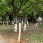 Terreno à venda em Vila Asem, Itapetininga, SP
