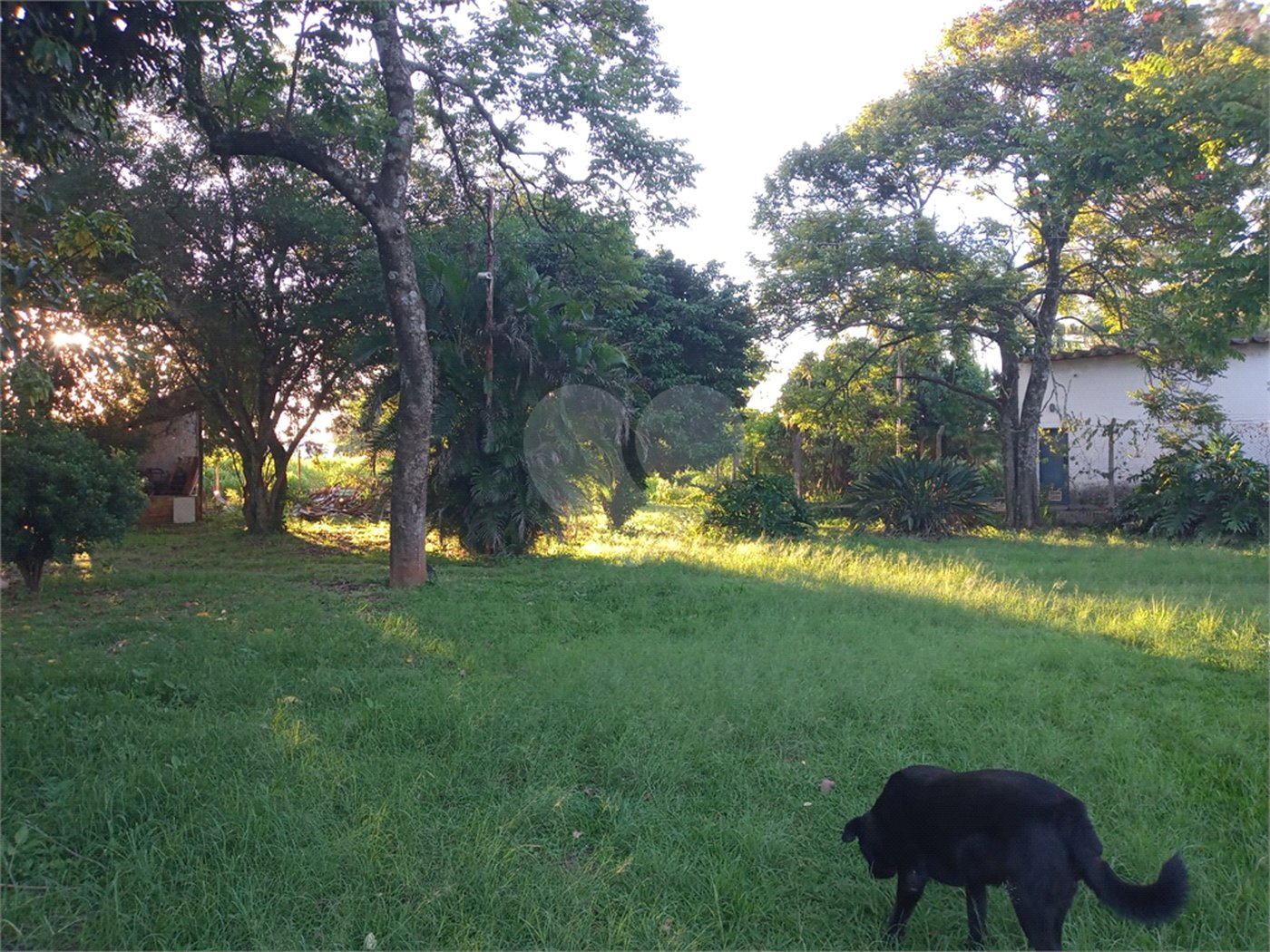 Chácara à venda com 5 quartos, sendo 1 suíte, em Tibaia de São Fernando, São Carlos, SP