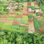 Terreno à venda em Jardim Itaú, Ribeirão Preto, SP