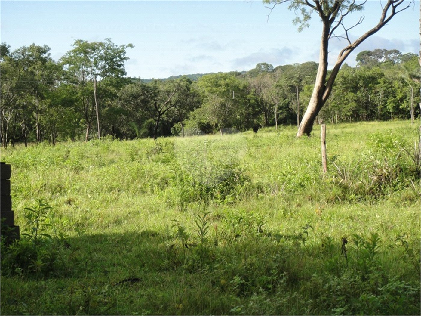 Fazenda à venda com 2 quartos em Canabrava, João Pinheiro, MG