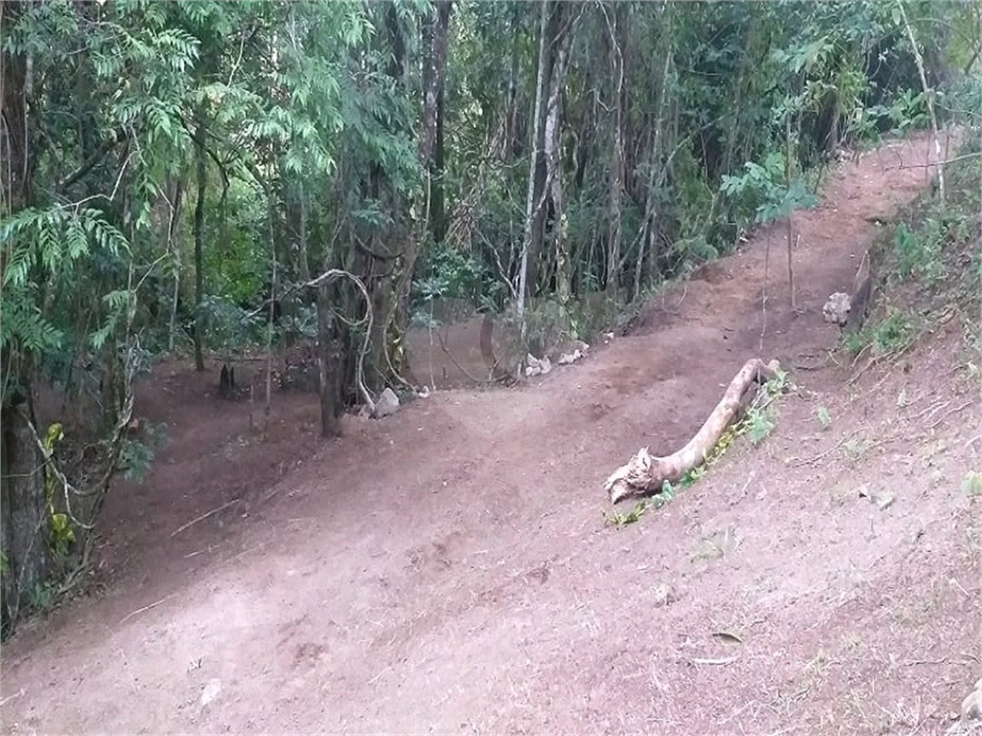 Sítio à venda no Centro, Monte Sião, MG