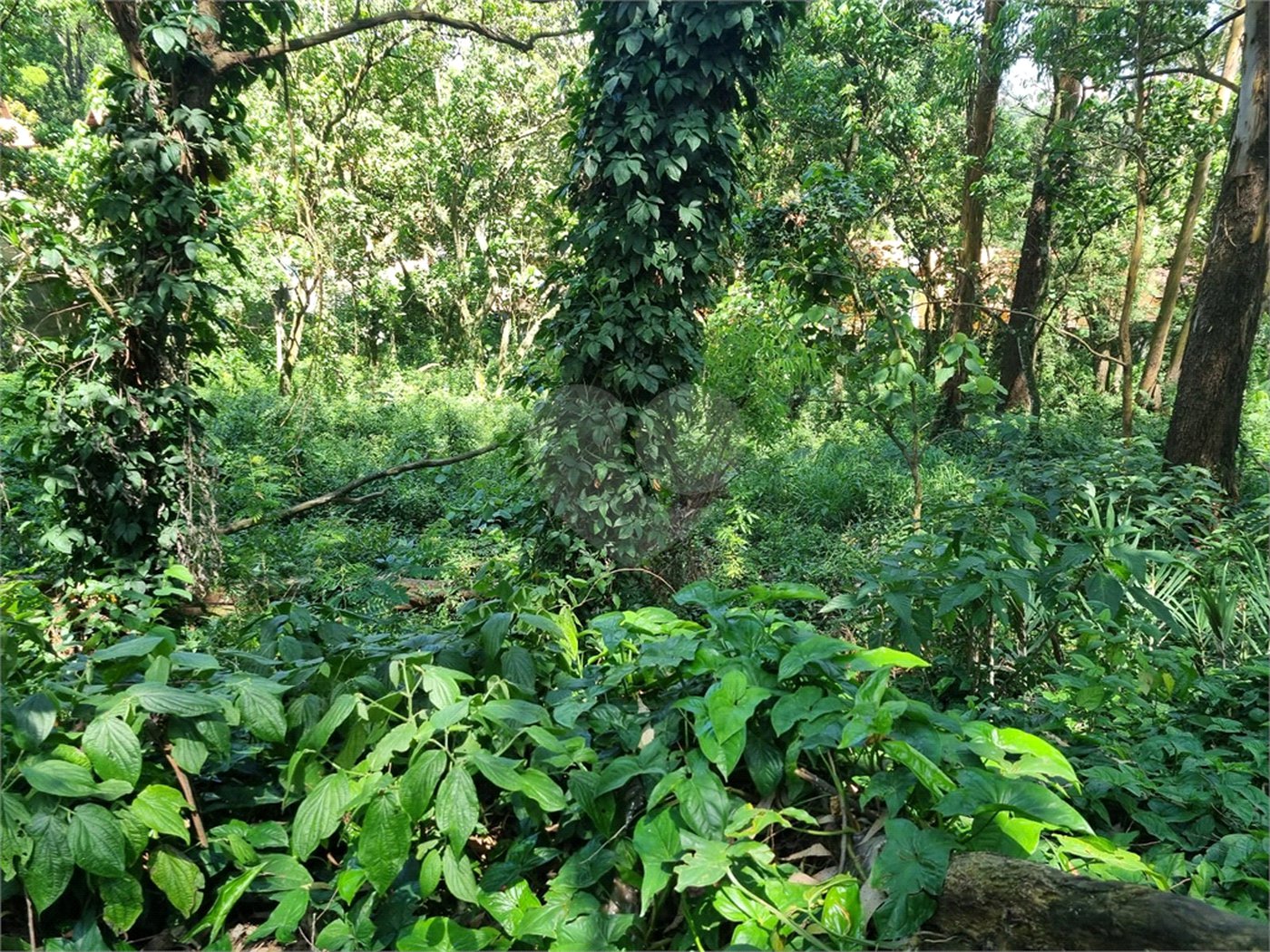Terreno à venda no condomínio Horto do Ypê, São Paulo - SP