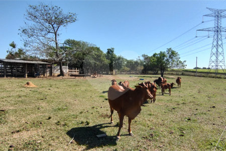Sítio à venda com 2 suítes em Buru, Salto, SP