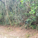 Terreno à venda no condomínio Alpes da Cantareira, Mairiporã - SP